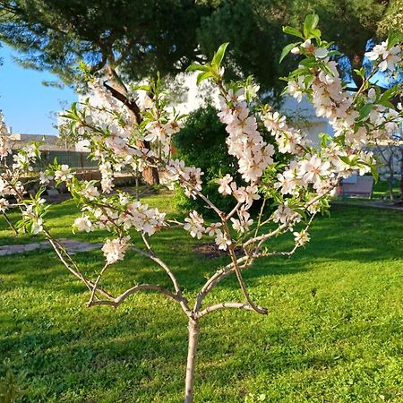 Villa Alma Bari Bagian luar foto